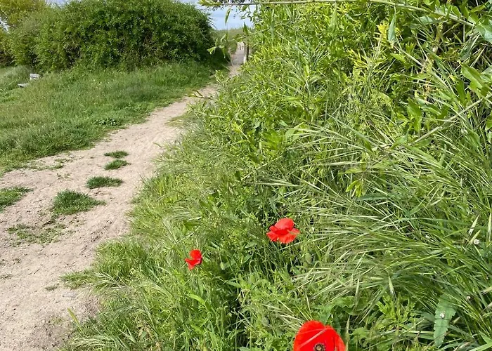 Panoramic Sea View Studio Raversijde Oostende * 奥斯滕德