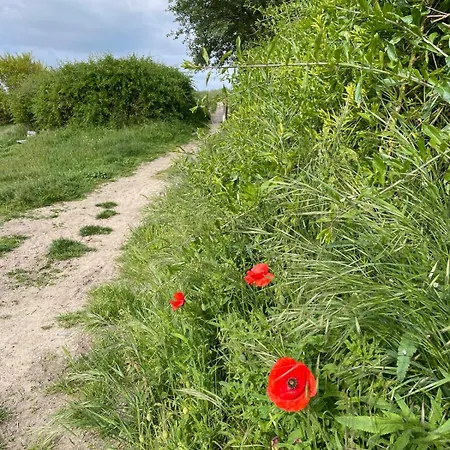 Panoramic Sea View Studio Raversijde Oostende * Oostende